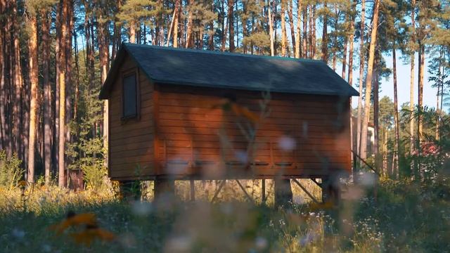 Сон на ульях в санатории «Солнечный»