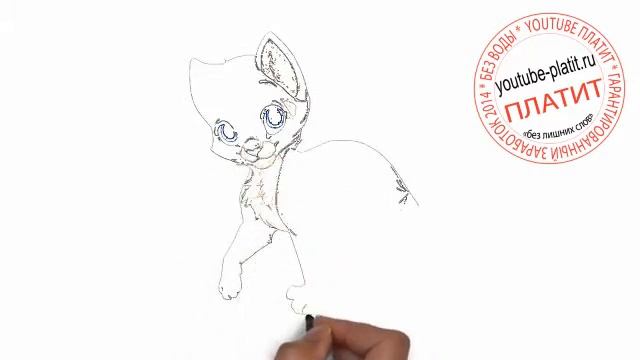 Как красиво нарисовать кошку поэтапно карандашом за 22 секунды смотреть онлайн