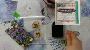 Посев многолетней фиалки.