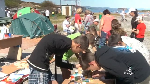 Молодёжное добровольческое движение "Солнечный ветер"