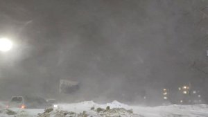 Метель (Снежногорск Мурманской области)