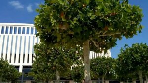 Стадион Краснодар.mp4