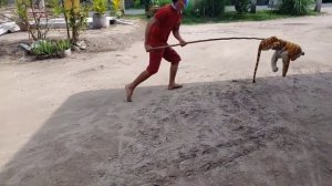 Пранк над собакой))) Испуг ротвеллера! Нападает на собаку