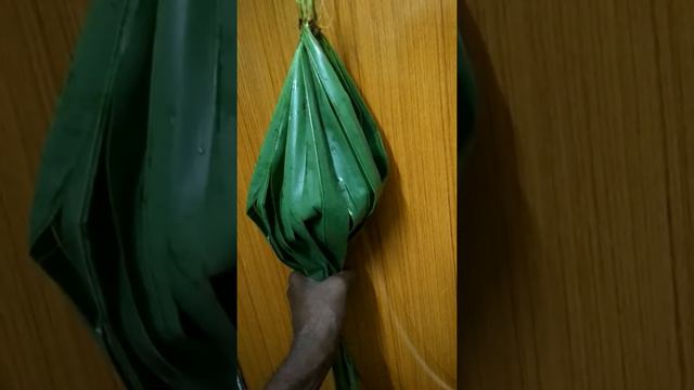 World environment day. Palmyra palm leaf is plastic substitute. смотреть онлайн