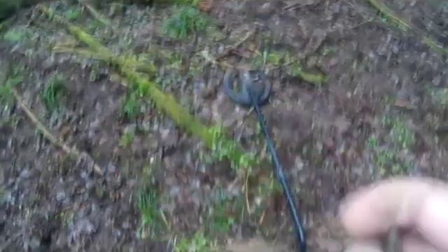 Поиск в лесу смотреть онлайн