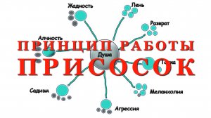 Принцип работы присосок от тёмных