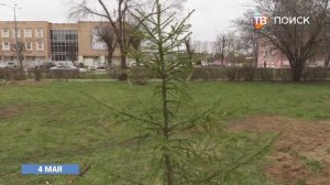 Жители дома 75 по ул. Карла Маркса присоединились к акции Лес Победы