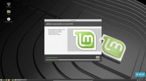 Установка Linux Mint 19 Cinnamon рядом с Windows 10