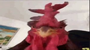 ой твоя попочка вообще возбуждает/mem