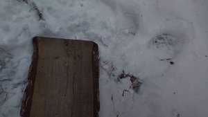 Опасный отстрел пороха БАРС в пластике через хронограф