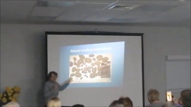 Клуб Природного Земледелия.Подкормки, болезни,вредители картофеля.часть 2.