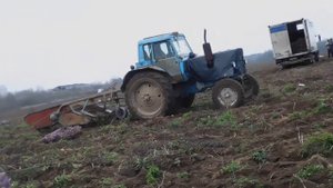 Копаем картошку МТЗ 80 польской копалкой 15 ноября 2019г