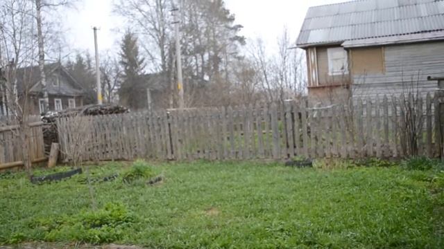 Наши будни/Гроза/Цыплята подрастают смотреть онлайн