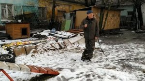 Дрессировка французского бульдога I