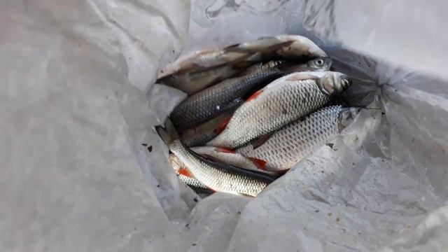 2 часть))) мост с.Луков-Кордон в низу что стало смотреть онлайн