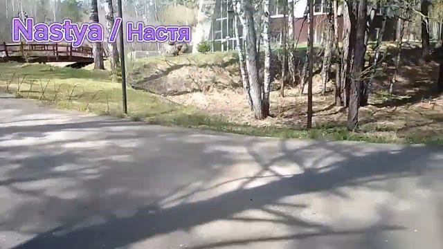 зоопарк уже сейчас!!!!!!! 🐘🐼 смотреть онлайн