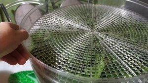 Заготовка зелени на зиму. Ароматная соль с травами.