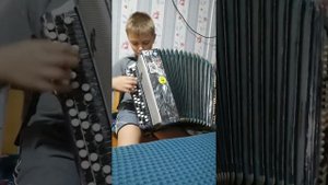 НЕРЕАЛЬНАЯ СКОРОСТЬ в игре на баяне!!!