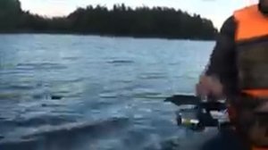 Карелия. Гимольское озеро. Часть 3.