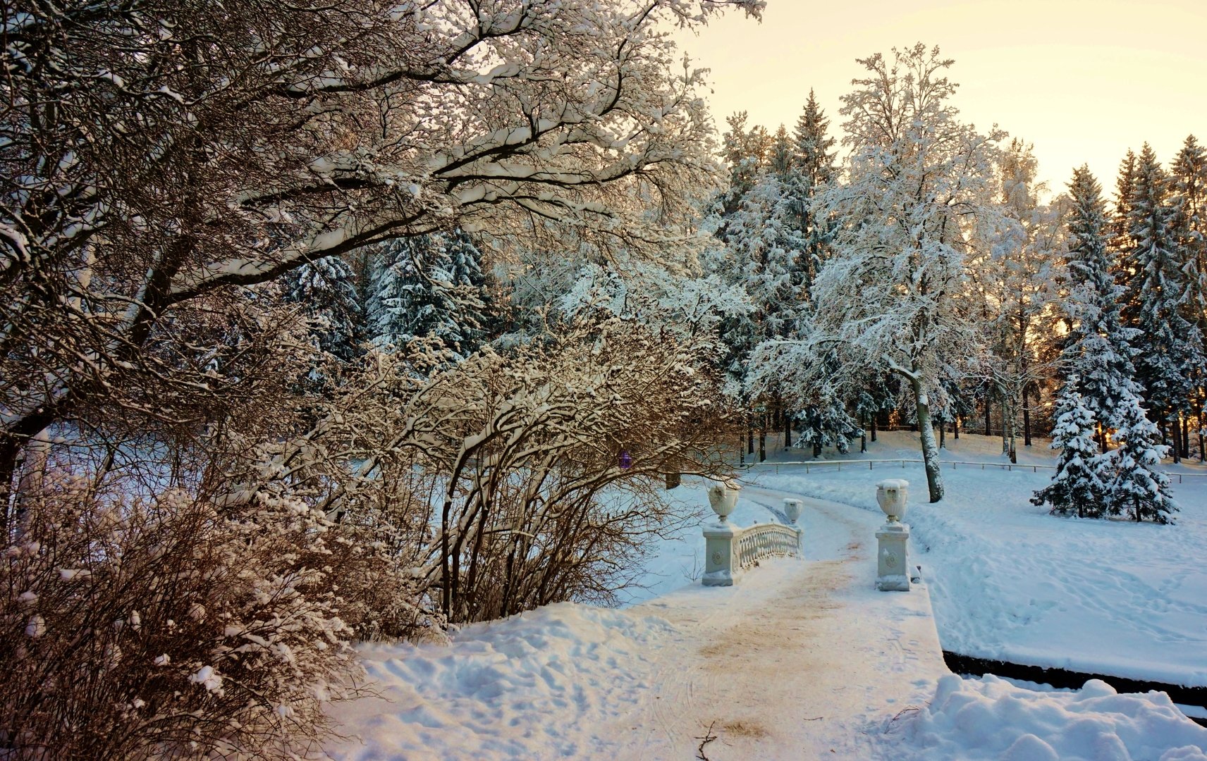 старый парк зимой