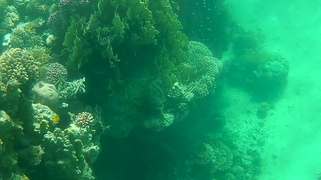 Utopia Beach Club, Marsa Alam 2023 смотреть онлайн