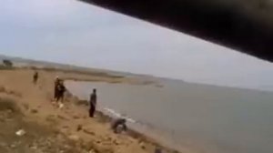 рыбалка на Чёрном море пеленгаса.Бракоши на "смык" таскают кефаль.