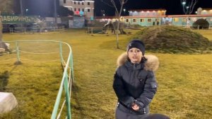 Парк динозавров. Динопарк в Каспийске.