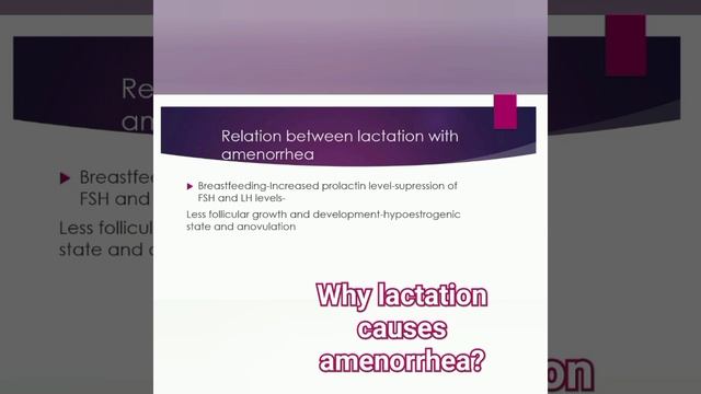 Why Lactation Causes Amenorrhea?