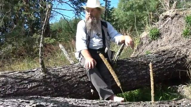 Мы не дерево: упали - можем встать смотреть онлайн