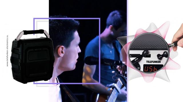 Портативная колонка Telefunken TF-PS2201 смотреть онлайн