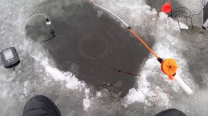 Сапоги для охоты и рыбалки baffin titan отзыв владельца