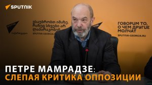 Политолог рассказал, почему любое действие грузинских властей подвергается критике