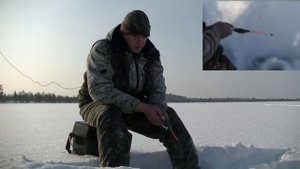 Ловля крупного окуня зимой.
