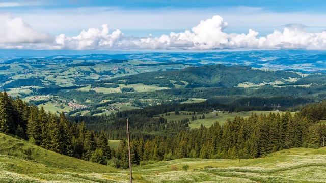 МИРНАЯ РАССЛАБЛЯЮЩАЯ МУЗЫКА ФОРТЕПИАНО МУЗЫКА ДЛЯ СНА ТИХАЯ МУЗЫКА МУЗЫКА ДЛЯ СНИЖЕНИЯ СТРЕССА