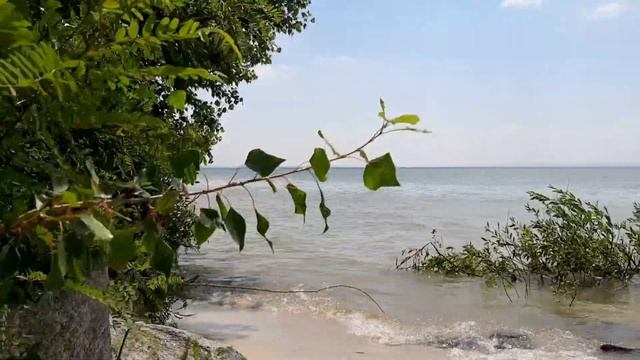 Кременчугское водохранилище смотреть онлайн