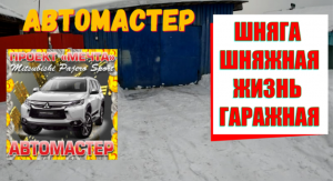 Шняга шняжная жизнь гаражная!