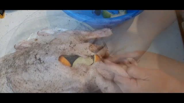 Утка в рукаве с яблоками черносливом и апельсинами на праздничный стол смотреть онлайн