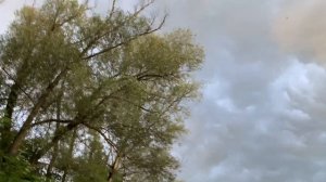 #47 #мормышинг | Красноперка на мормышку | Крупный окунь на мормышку | Гроза | Звезды удовольствия