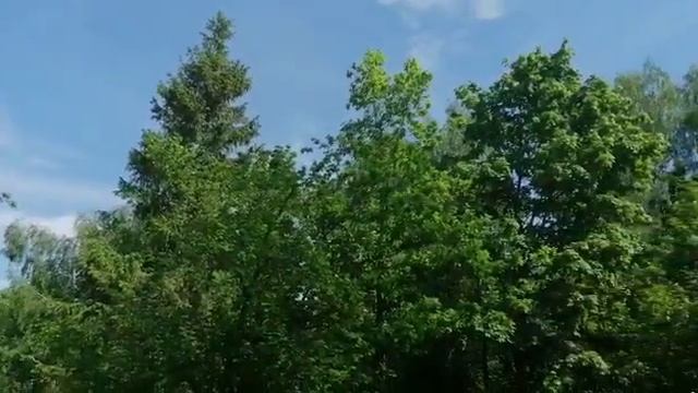 Лесной Участок 133 в КП Приозерье на Новорижском шоссе смотреть онлайн