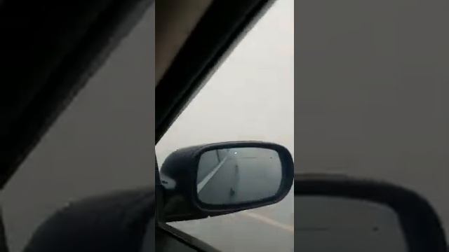 Луговое смотреть онлайн