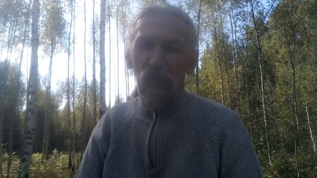 Выращивание грибов  Первые результаты