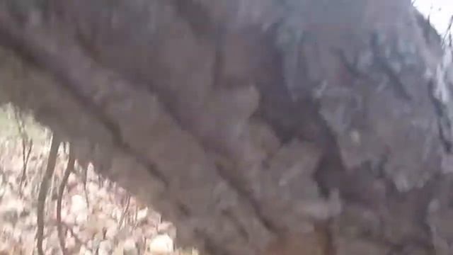 Выживание в реале#1 смотреть онлайн