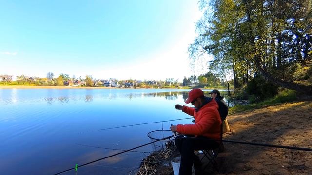 Классная рыбалка на фидер.Ловля подлещика,леща на озере смотреть онлайн