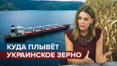 «Реализация сделки вызывает беспокойство»: корреспондент RT — о Черноморской инициативе ООН по зерну