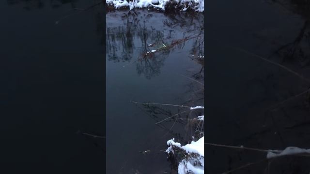 Удачный пруд. Питьевая вода . смотреть онлайн