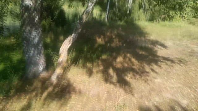 Кормление кроликов. Веточный корм. смотреть онлайн