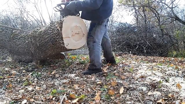 мотор сич 270.  20171025 1406