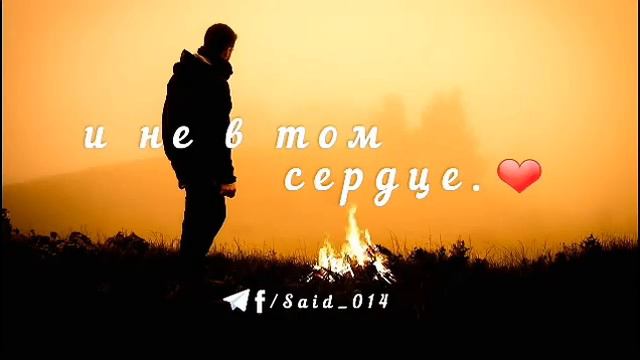 🌹Запомни: Быть одному лучше, чем быть не в том месте и не в том сердце.❤