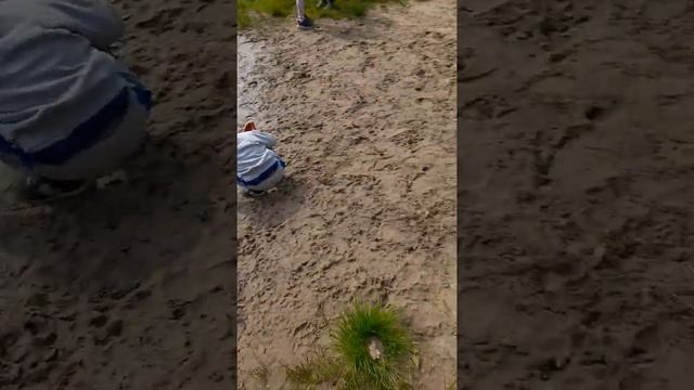 нашли водоём недалеко от дома где живём... водичка чистая песочный пляж людей не было но пришли