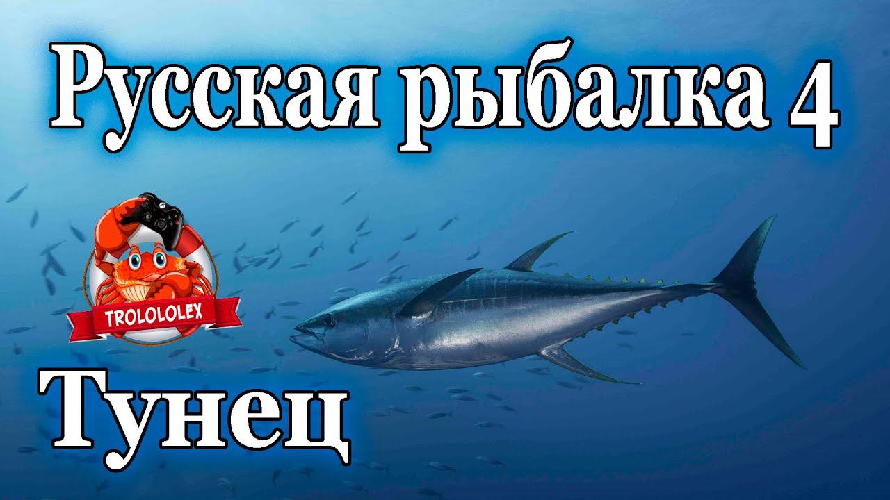 Русская рыбалка 4 Тунец смотреть онлайн
